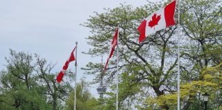 Land-based entities boast ‘tremendous amount of upside’ in entering digital arena: CGS Toronto, Canada