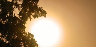 AGA comments increase the heat on sweepstake casinos