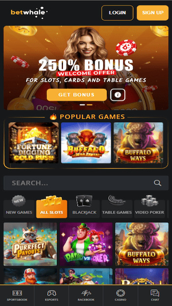 BetWhale Casino top overall for high RTP slots